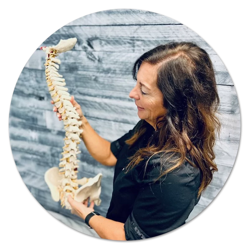 Doctor demonstrating a spine model